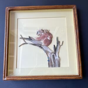Vintage Framed Koala Bears w/ Feathers Shadow Box Wall Art 3D